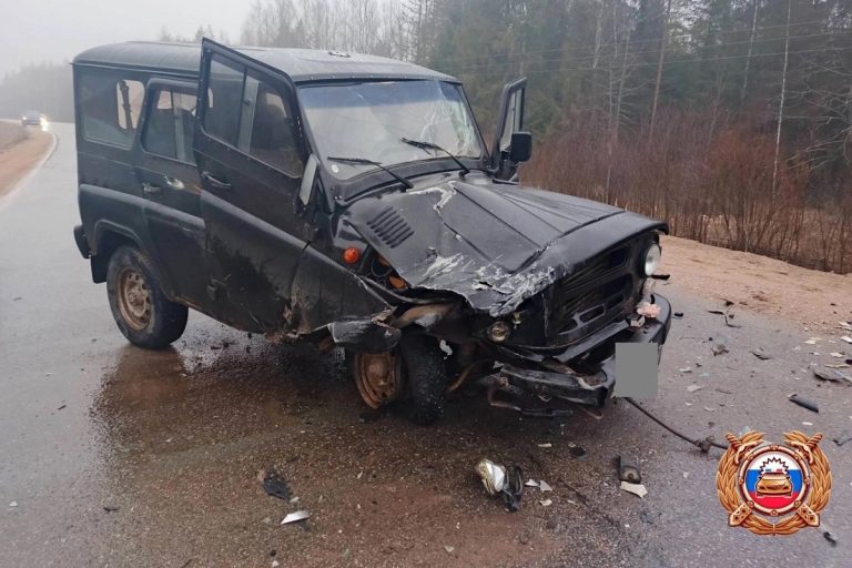 Двое детей пострадали в серьезном ДТП в Тверской области