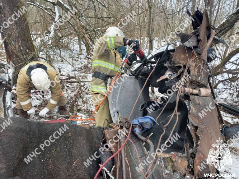После встречи с деревом в Тверской области автомобиль разорвало в клочья