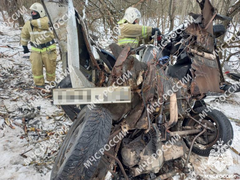 После встречи с деревом в Тверской области автомобиль разорвало в клочья