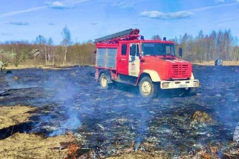 Пал травы едва не уничтожил деревню в Тверской области