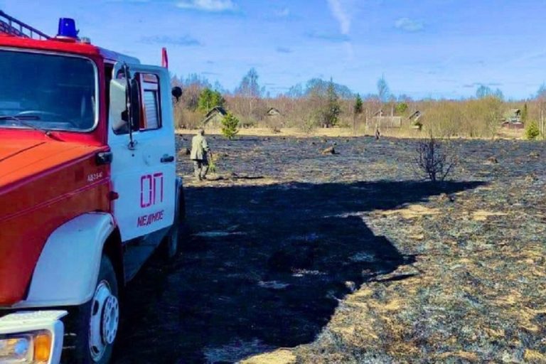 Пал травы едва не уничтожил деревню в Тверской области