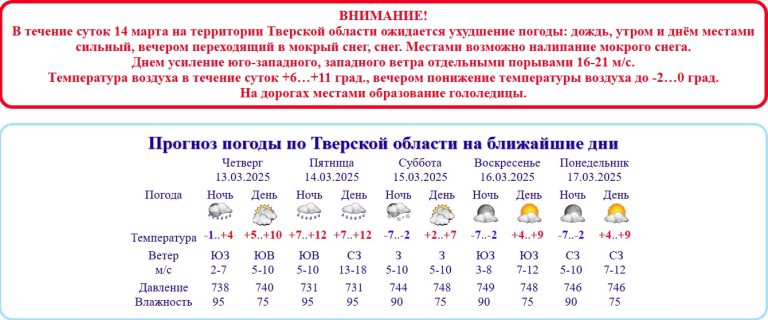 В Тверской области объявлено о 9-балльном шторме со снегом и сногсшибательным ветром