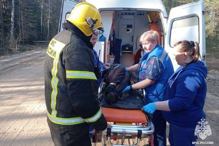 Легковушка врезалась в дерево в Тверской области
