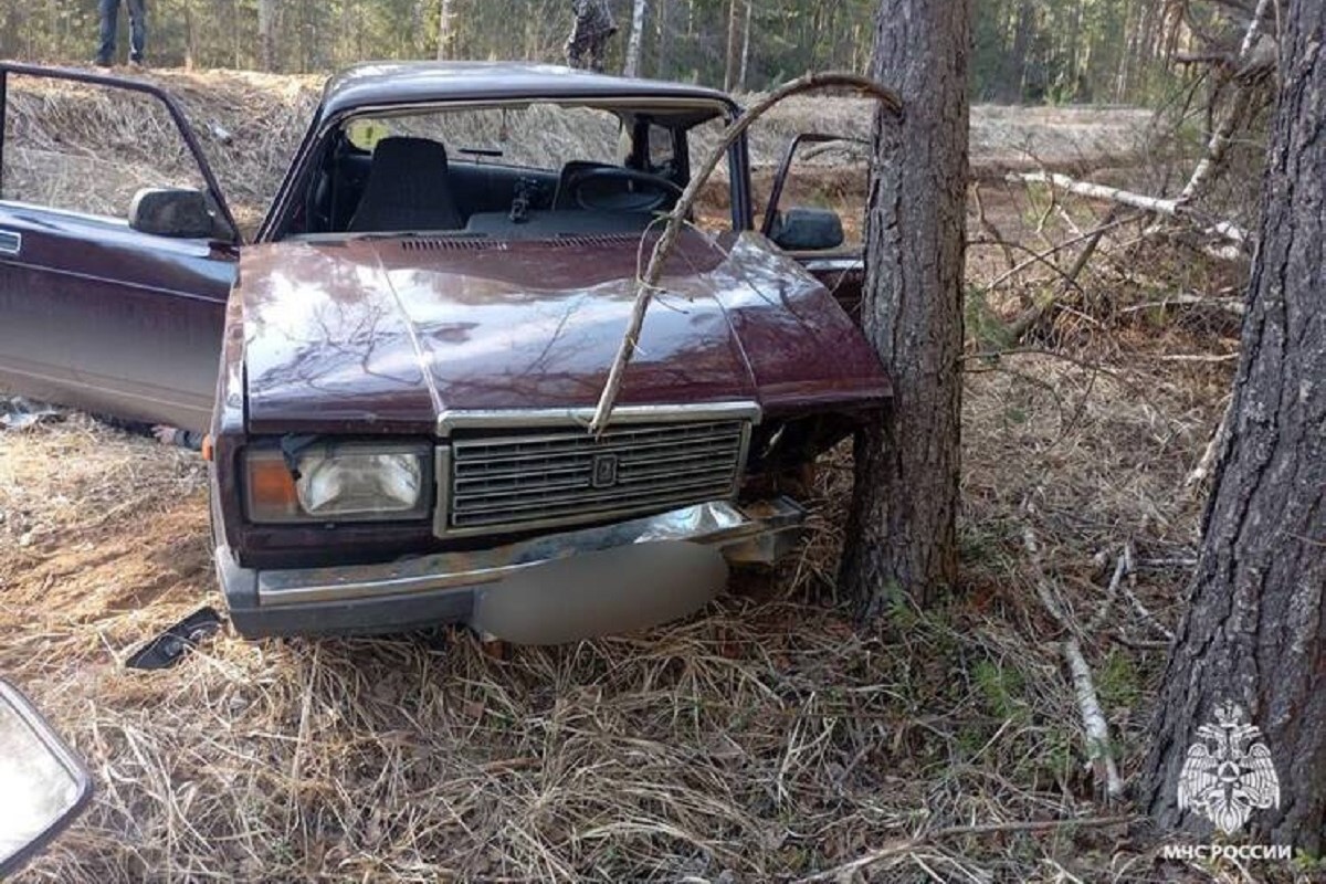 Легковушка врезалась в дерево в Тверской области