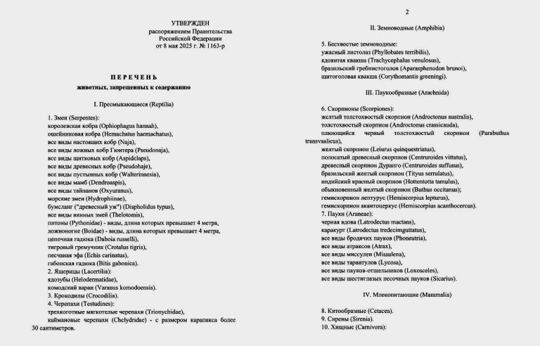 В России утвержден перечень запрещенных к содержанию дома животных