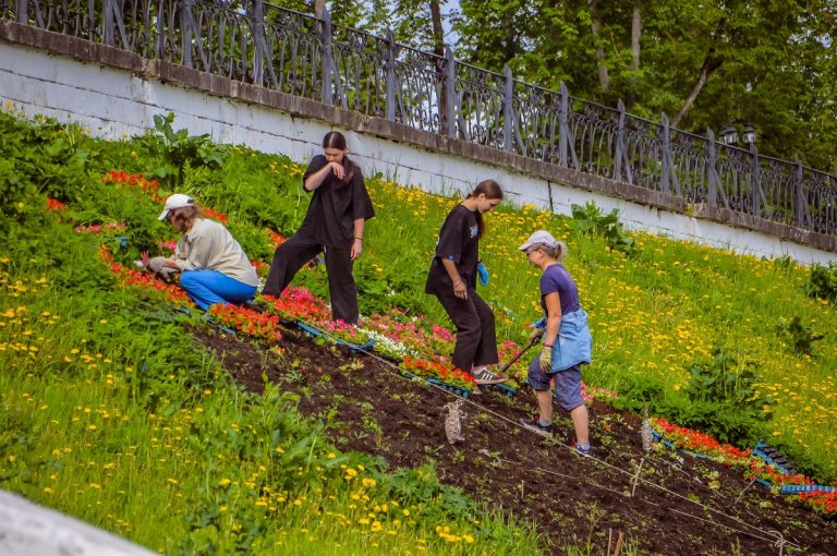 Власти Твери сообщили, какие территории в городе украсят цветами