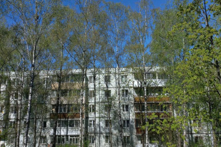 В Твери погода «сжалилась» и стала более весенней В Твери погода «сжалилась» и стала более весенней