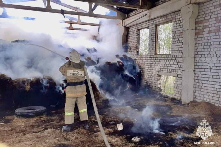 В Тверской области сгорел ангар с сеном