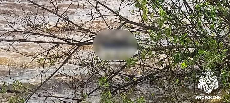 Стала известна трагическая судьба пропавшего в Тверской области молодого мужчины