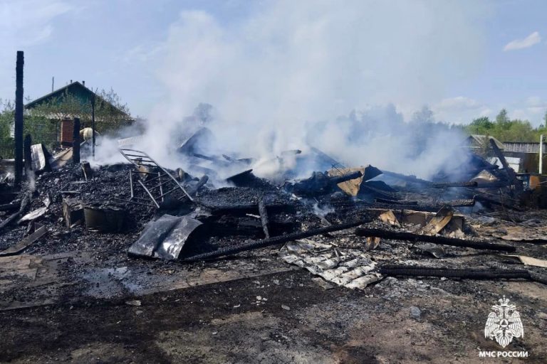 В Тверской области на пожаре погибла девочка В Тверской области на пожаре погибла девочка