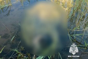 В Твери на Константиновских карьерах утонул мужчина