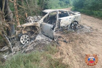 В Тверской области машина врезалась в дерево и загорелась