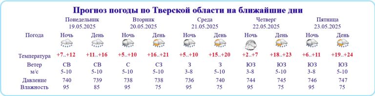Стало известно, когда в Тверской области снова будет жарко