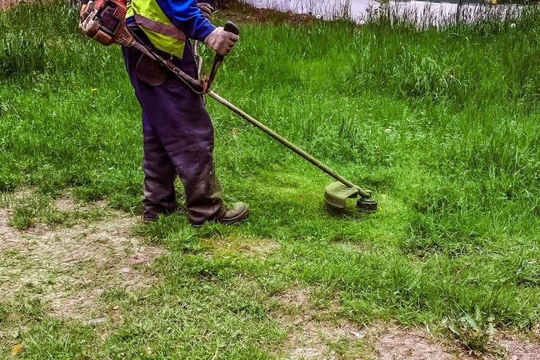 Власти Твери сообщили, какие территории в городе украсят цветами