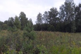 Свыше 20 гектаров заросшей пашни выявлено в Тверской области