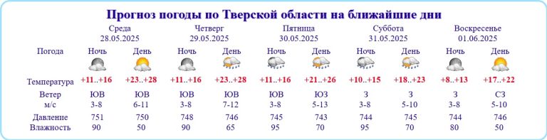 В Тверской области объявлено о высокой пожароопасности на ближайшие 6 дней