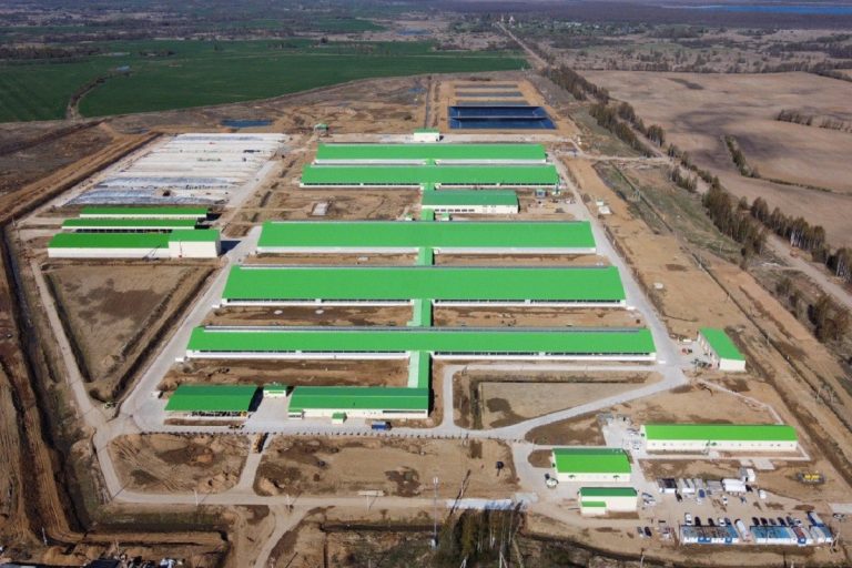 В Тверской области газифицирован крупный молочный животноводческий комплекс