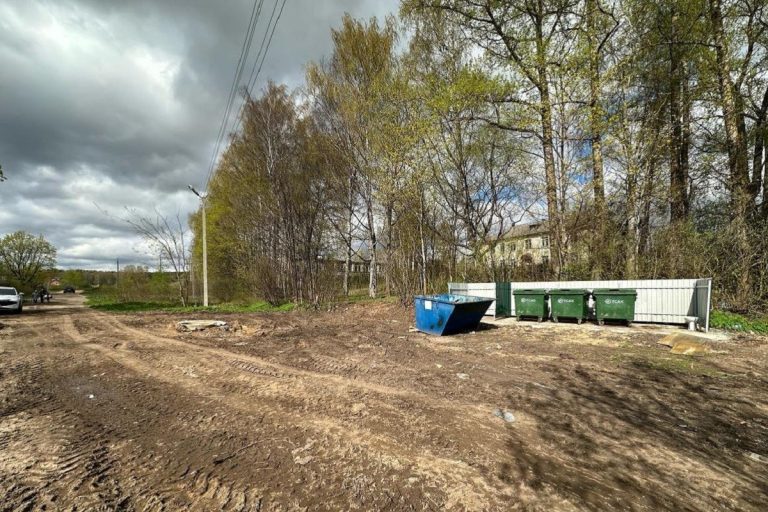 Несанкционированная свалка ликвидирована в Тверской области
