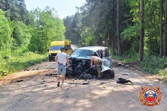 Двое детей 10 и 8 лет пострадали после столкновения автомобиля с деревом в Тверской области