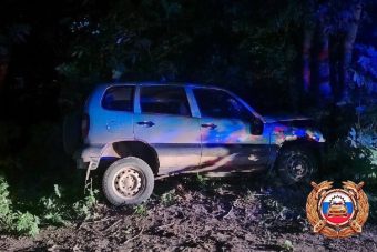 Легковушка врезалась в дерево в Тверской области
