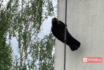 20-градусное тепло покидает Тверскую область