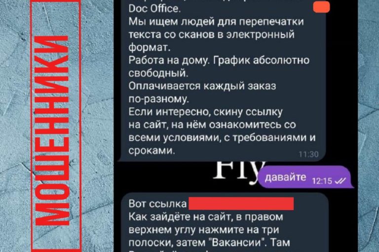 В МВД показали, как выглядит классический пример мошенничества с дистанционной работой
