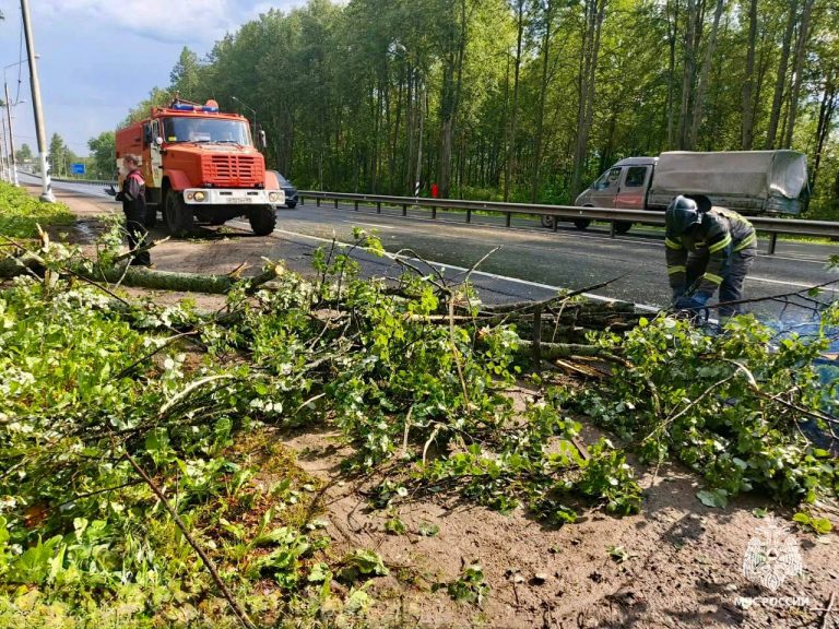 Упавшее дерево перекрыло федеральную трассу М-10 в Тверской области