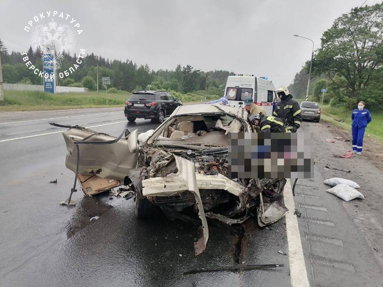 На М-10 в Тверской области фура вылетела на встречную полосу и убила двух человек