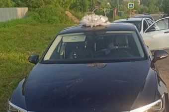 Житель Тверской области бил ногами автомобиль свадебного кортежа