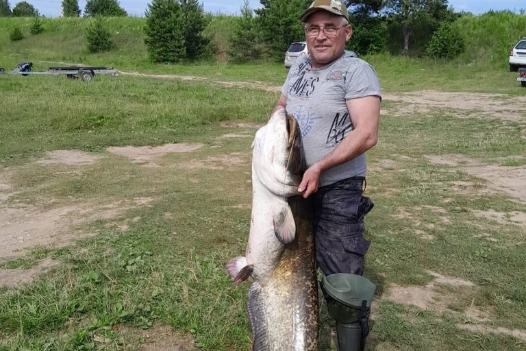 В Тверской области поймали еще одну гигантскую рыбу