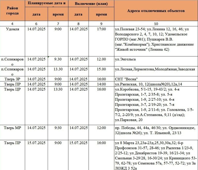 Жители Твери и области надолго останутся без света