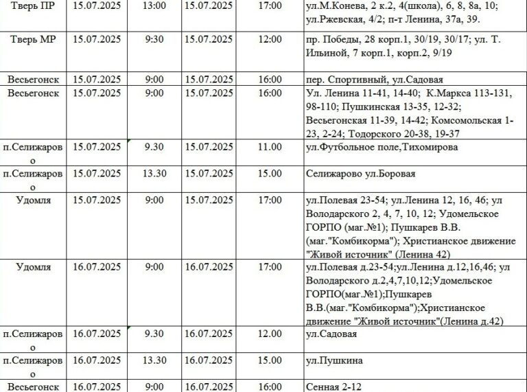 Жители Твери и области надолго останутся без света