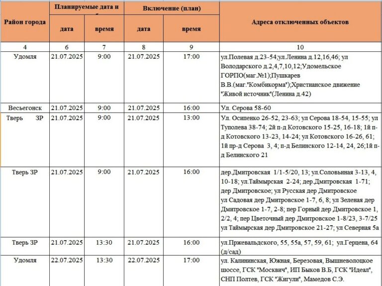 Жители Твери и области надолго останутся без света