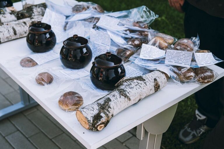 В Твери проходит фестиваль «Россия – Моя история. Херсонес»