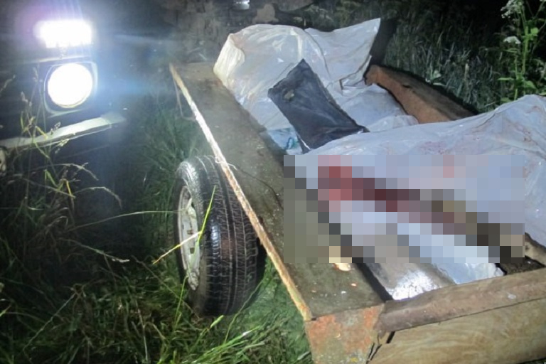 В Тверской области задержан убийца дикого животного