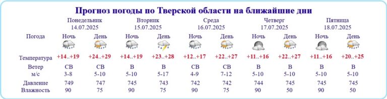 Тверская область пережила самую теплую ночь в текущем году