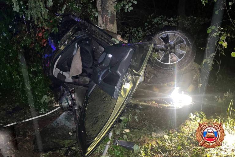 В Тверской области автомобиль врезался в дерево, погибли два человека