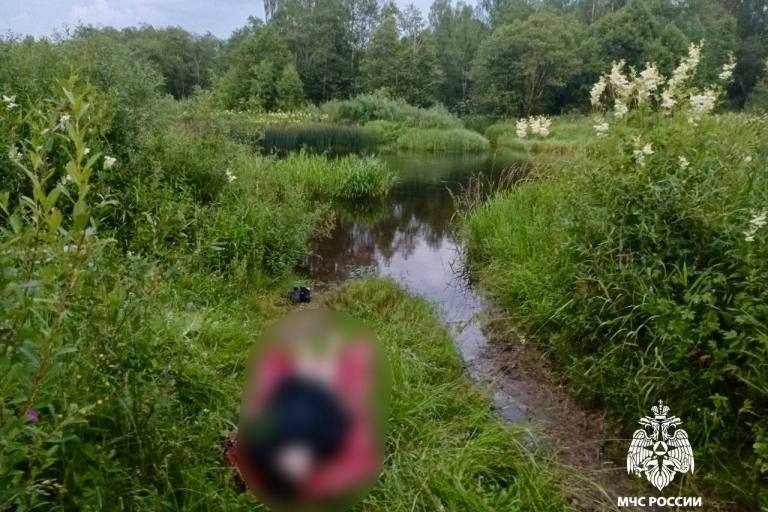 Из реки в Тверской области извлекли тело погибшей девушки