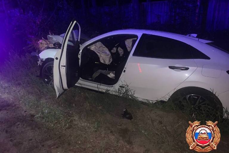 Приехавший на свадьбу в Тверь водитель сломал дерево