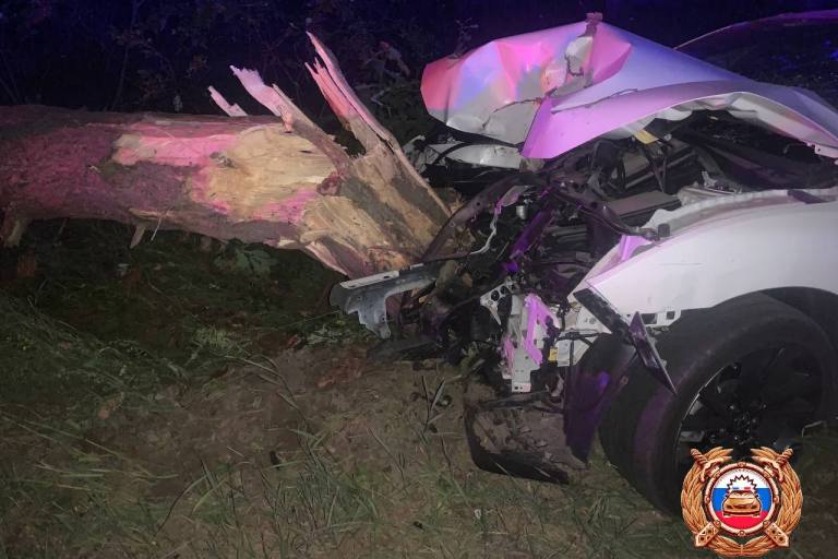 Приехавший на свадьбу в Тверь водитель сломал дерево Приехавший на свадьбу в Тверь водитель сломал дерево