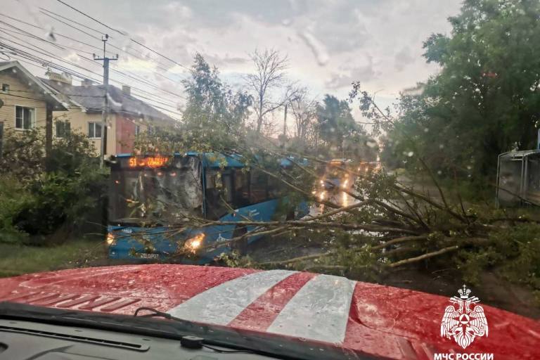 Дерево упало на автобус в Твери