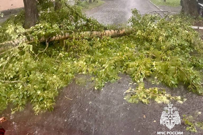 Дерево упало на автобус в Твери