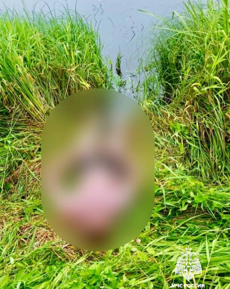 Мужчина утонул в реке Тверца в Тверской области
