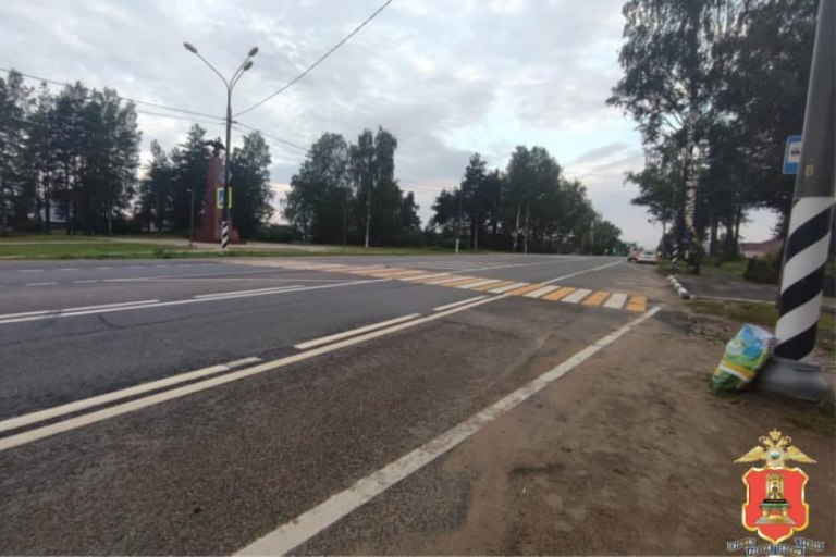 Задержан водитель, сбежавший с места смертельного ДТП в Тверской области