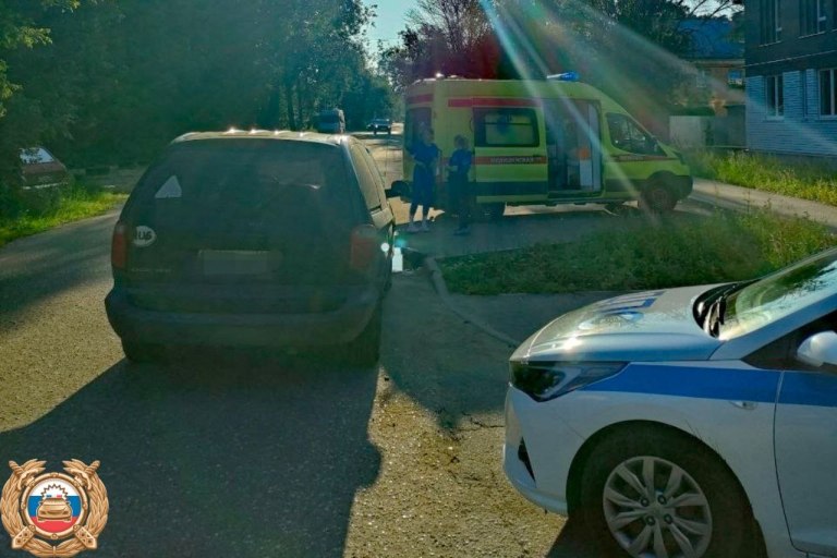 Ослепленный солнцем водитель сбил пенсионерку с собаками в Твери