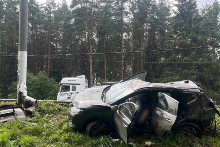 В Тверской области на трассе М-10 водитель-пенсионер сбил столб