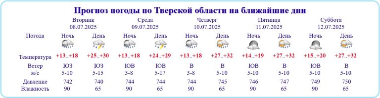 В Тверскую область идет изнуряющая жара