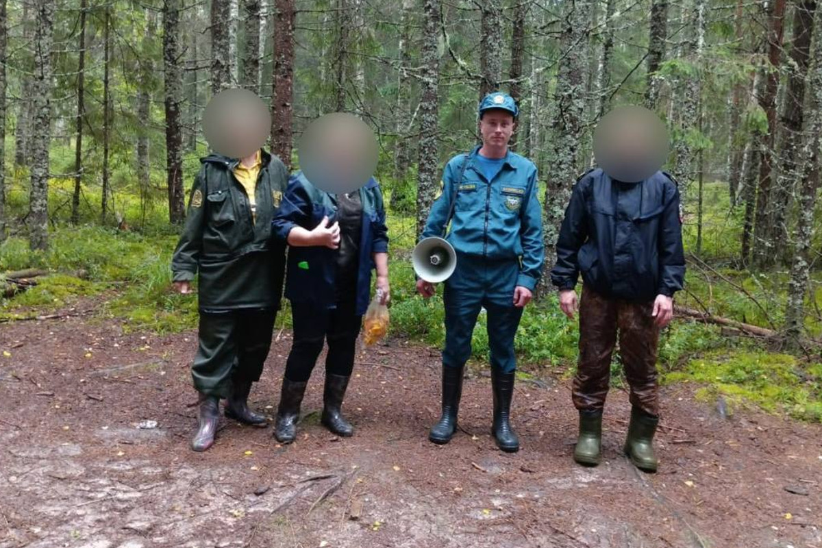 По лесам Тверской области плутают заблудившиеся грибники