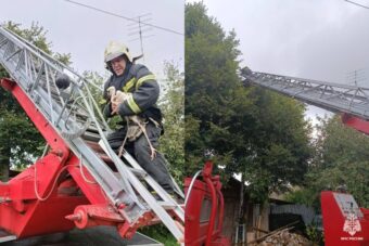 В Тверской области спасли выпавшего из гнезда аистенка