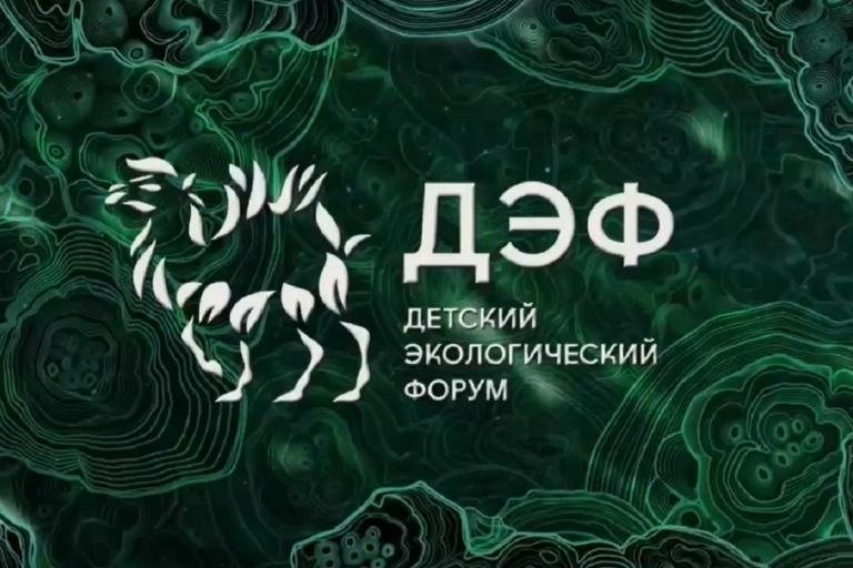 Тверские школьники участвуют в III Всероссийского детского экологического форума